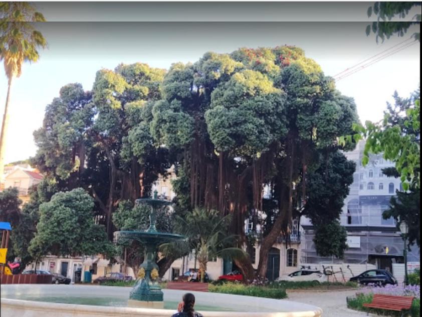 Alegramente Apartment ลิสบอน ภายนอก รูปภาพ